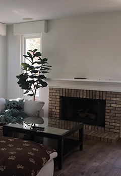 Somfy Screen Roller Shades Palo Alto